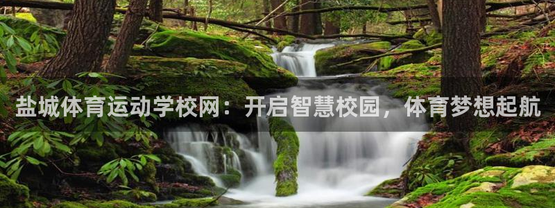 利记官网下载招商电话号码:盐城体育运动学校网:开启智慧校园,